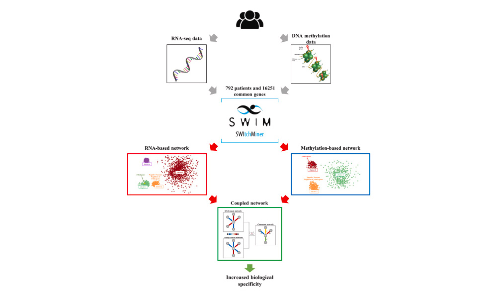 Correlation-based network integration of lung RNA sequencing and DNA methylation data in chronic obstructive pulmonary disease