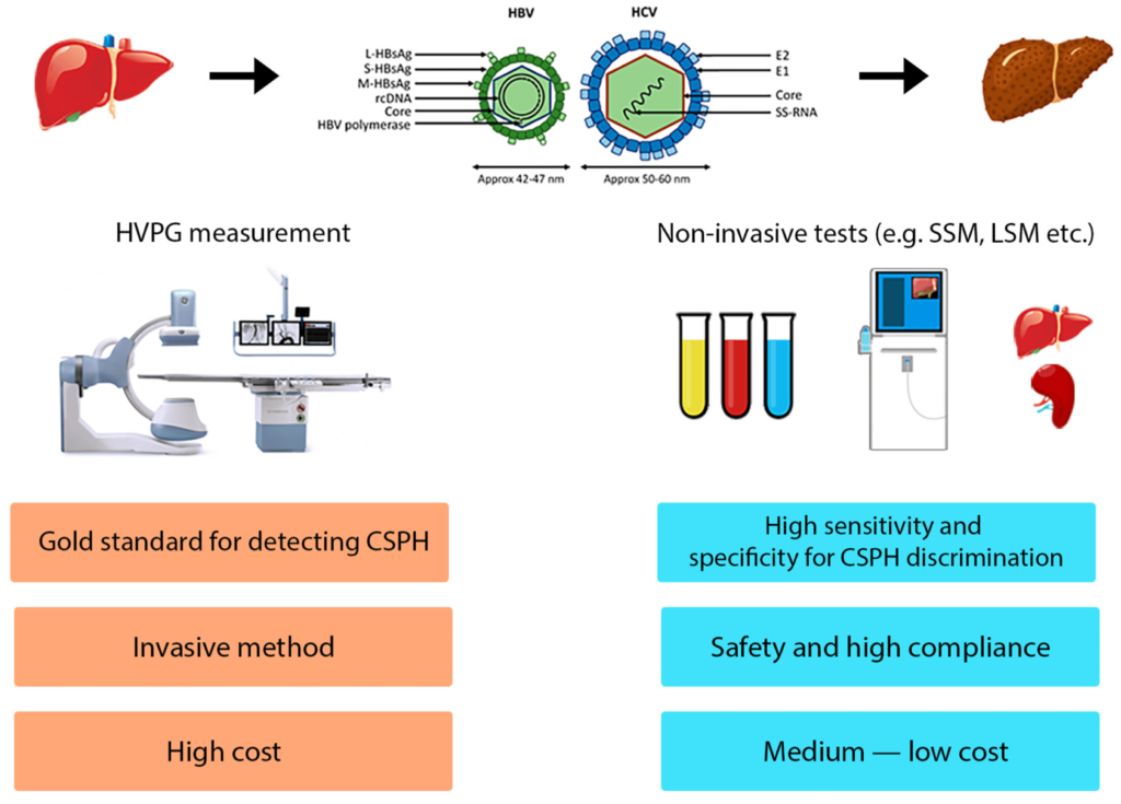 Non-Invasive Diagnostic Tests for Portal Hypertension in Patients with HBV- and HCV-Related Cirrhosis: A Comprehensive Review