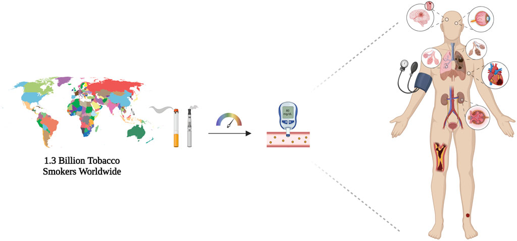 A web-based scoping review assessing the influence of smoking and smoking cessation on antidiabetic drug meabolism: implications for medication efficacy