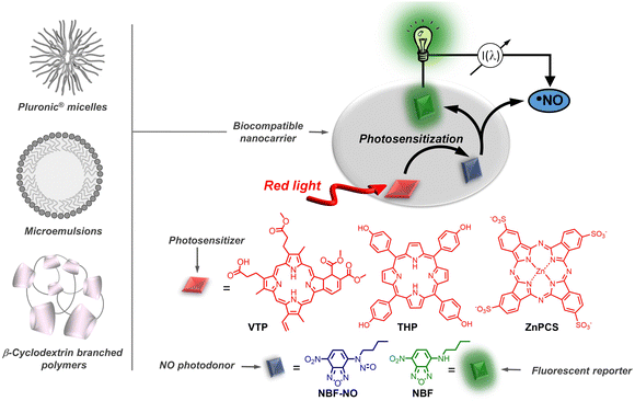 Supramolecular red-light-photosensitized nitric oxide release with fluorescence self-reporting within biocompatible nanocarriers